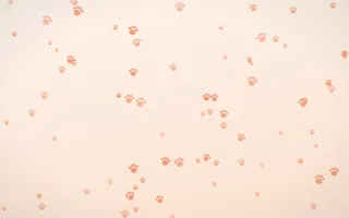 Peach Fuzz Paws III — light orange and white cute background, variation III