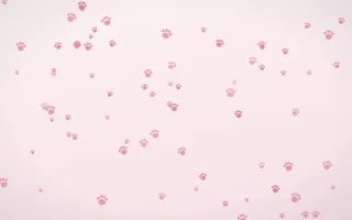 Rosewater Paws — light pink and white cute background