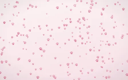 Rosewater Paws Dense — light pink and white cute background