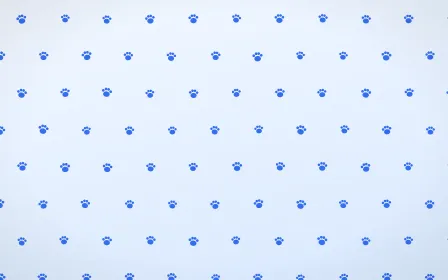 Sky Paws — light blue and white cute background