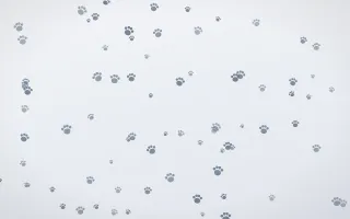 Slate Mist Paws — light blue and white cute background