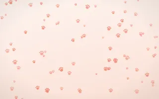 Sorbet Paws — light red, orange and white cute background
