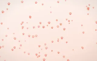 Sorbet Paws II — light red, orange and white cute background, variation II