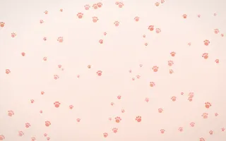 Sorbet Paws III — light red, orange and white cute background, variation III