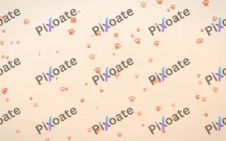 Sunset Pop Paws — light orange and beige cute background