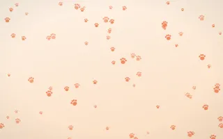 Sunset Pop Paws II — light orange and beige cute background, variation II
