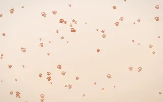 Terracotta Paws — light orange and beige cute background