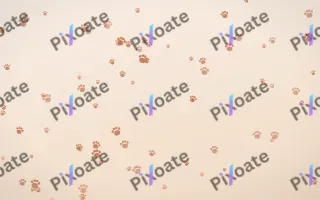 Terracotta Paws — light orange and beige cute background