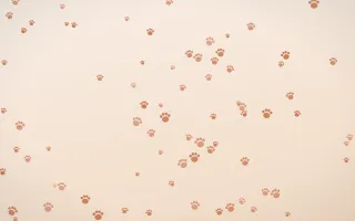 Terracotta Paws II — light orange and beige cute background, variation II