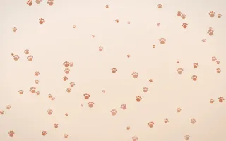 Terracotta Paws III — light orange and beige cute background, variation III