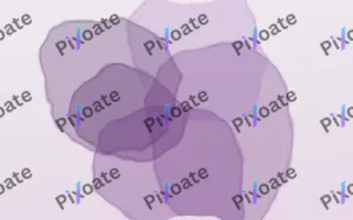 Plum Batik — light purple and white fashion background