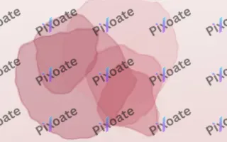 Rose Madder III — light red and white fashion background, variation III