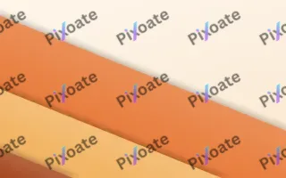 Tangerine Spread II — light orange and brown fashion background, variation II