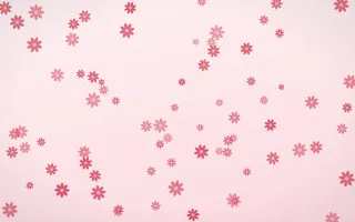 Cherry Soda Daisies — light red and white floral background