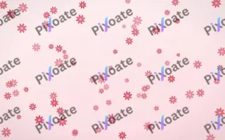 Cherry Soda Daisies — light red and white floral background