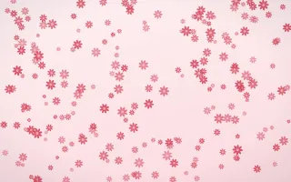 Cherry Soda Daisies Dense — light red and white floral background