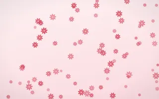 Cherry Soda Daisies II — light red and white floral background, variation II