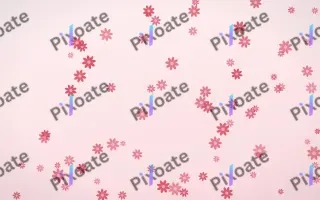 Cherry Soda Daisies II — light red and white floral background, variation II