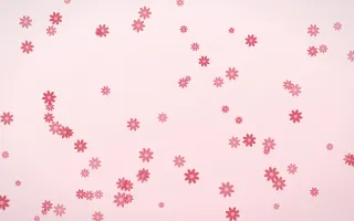 Cherry Soda Daisies III — light red and white floral background, variation III