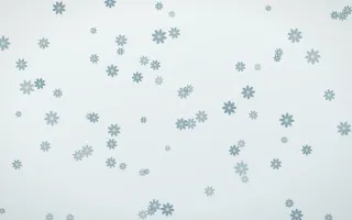 Coastal Fog Daisies — light blue and white floral background