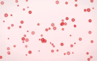 Crimson Daisies — light red and white floral background