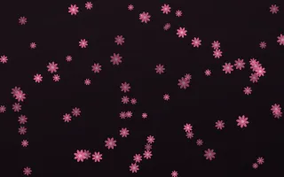Flamingo Noir Daisies — dark pink and black floral background