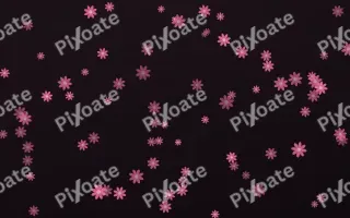Flamingo Noir Daisies — dark pink and black floral background