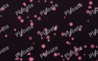 Flamingo Noir Daisies III — dark pink and black floral background, variation III