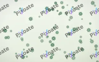 Forest Cream Daisies — light green and white floral background