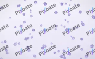 Lilac Frost Daisies — light blue and white floral background