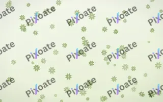 Matcha Latte Daisies — light green and white floral background