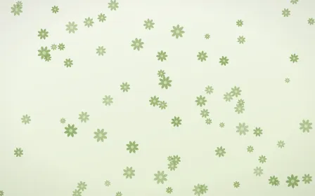 Matcha Latte Daisies — light green and white floral background