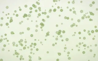 Matcha Latte Daisies Dense — light green and white floral background