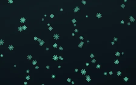 Midnight Garden Daisies — dark green and black floral background
