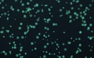 Midnight Garden Daisies Dense — dark green and black floral background