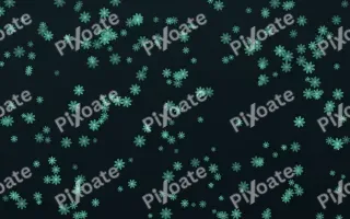 Midnight Garden Daisies Dense — dark green and black floral background