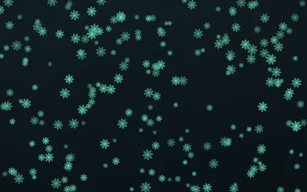 Midnight Garden Daisies Dense — dark green and black floral background