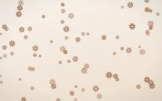 Mocha Milk Daisies — light orange and white floral background