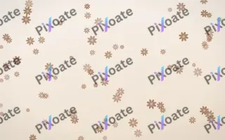 Mocha Milk Daisies — light orange and white floral background