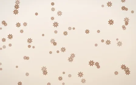 Mocha Milk Daisies — light orange and white floral background