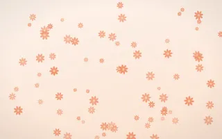 Peach Fuzz Daisies — light orange and white floral background
