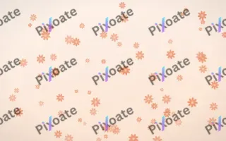 Peach Fuzz Daisies — light orange and white floral background