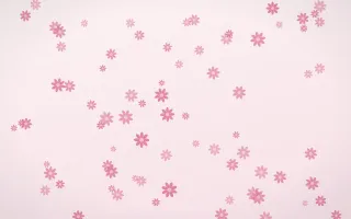 Rosewater Daisies — light pink and white floral background