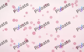 Rosewater Daisies — light pink and white floral background