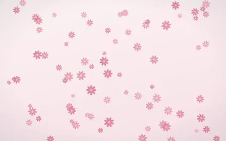 Rosewater Daisies — light pink and white floral background