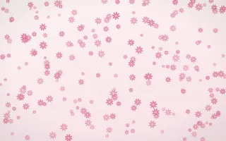 Rosewater Daisies Dense — light pink and white floral background