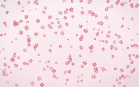Rosewater Daisies Dense — light pink and white floral background