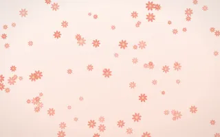 Sorbet Daisies — light red, orange and white floral background