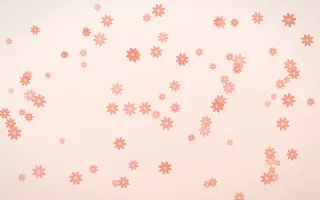 Sorbet Daisies II — light red, orange and white floral background, variation II
