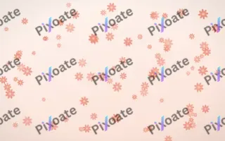 Sorbet Daisies II — light red, orange and white floral background, variation II